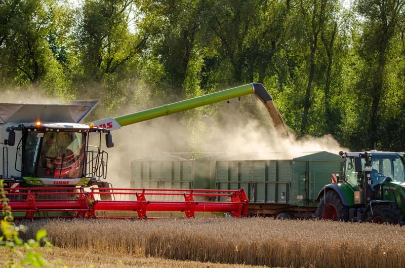 Maize Buyers