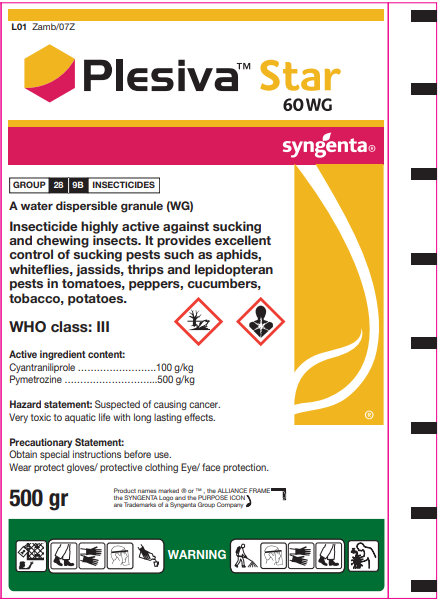 Plesiva Star 60WG - Front Label