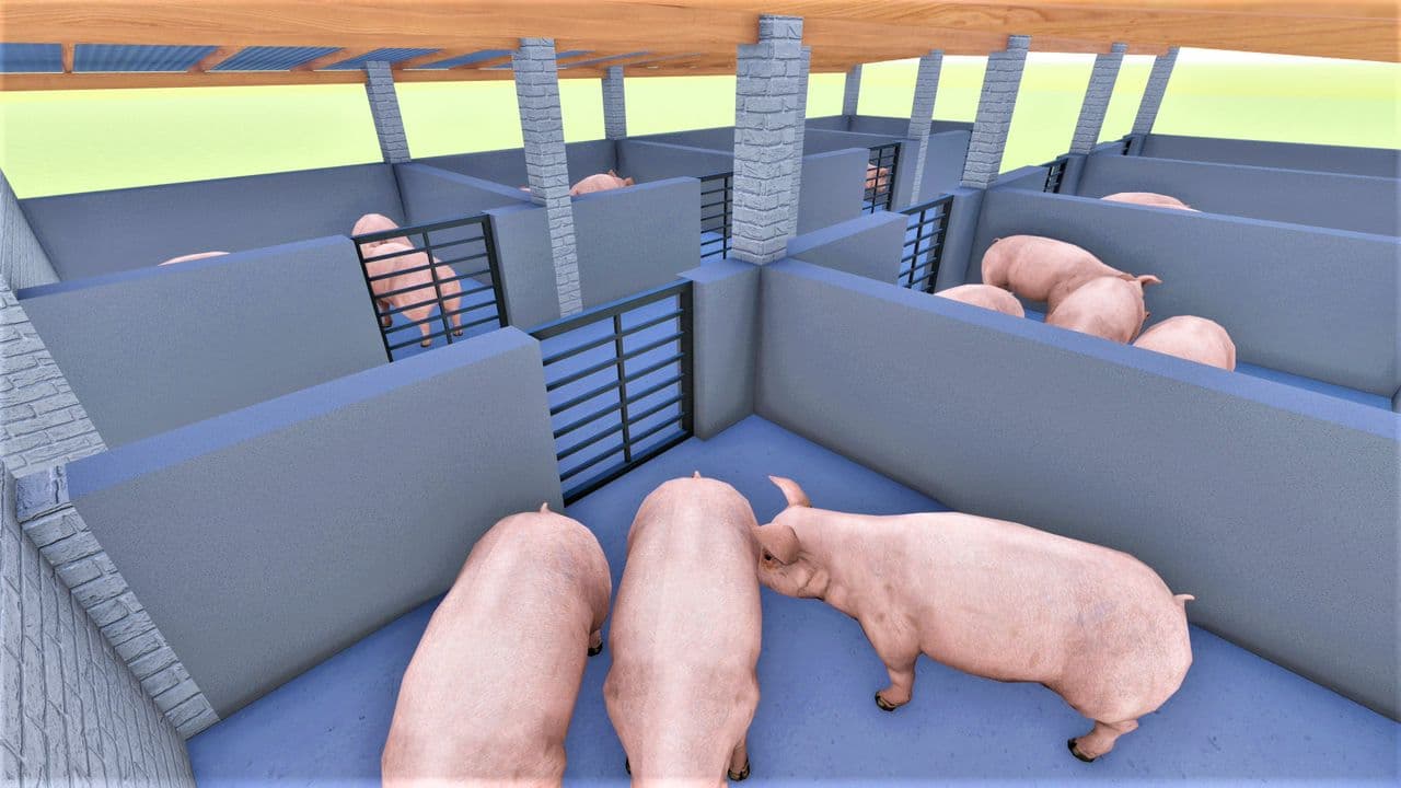 Pig Sty Pen Design Plan 7