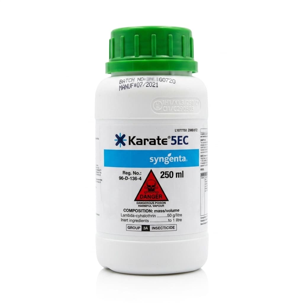Karate 5 EC
