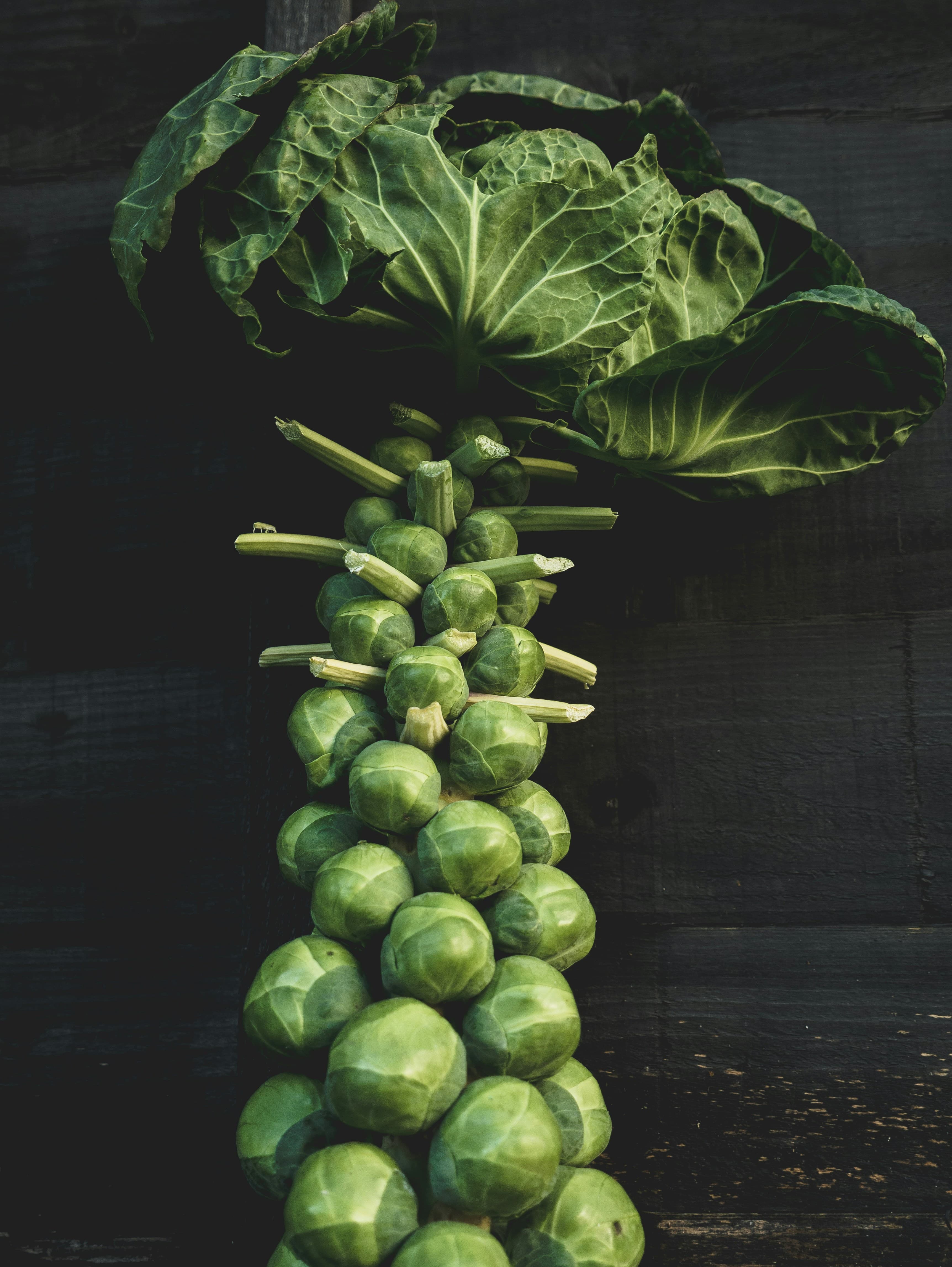 brussels sprouts spray program